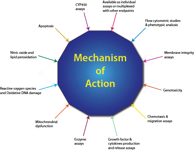 rang and dales pharmacology flash