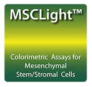 home_MSCLight.jpg