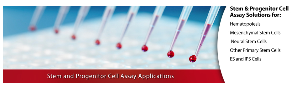 Stem & Progenitor Cell Assay Solutions