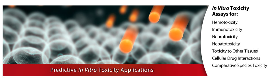 In Vitro Toxicity Assays
